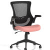 Bespoke Colour Seat Quest Shrimp